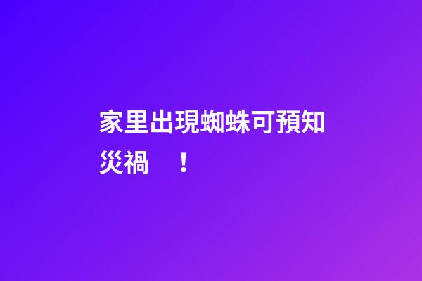 家里出現蜘蛛可預知災禍！